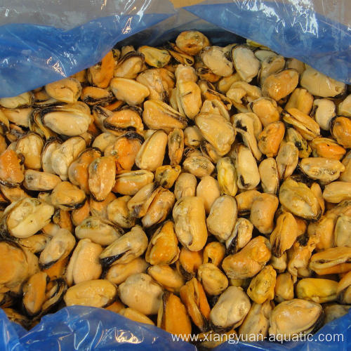 black mussels canned mussel meat